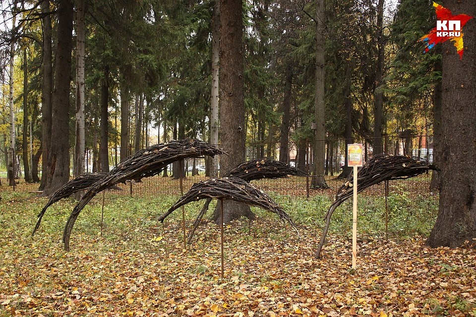 Фото: Сергей Грачев