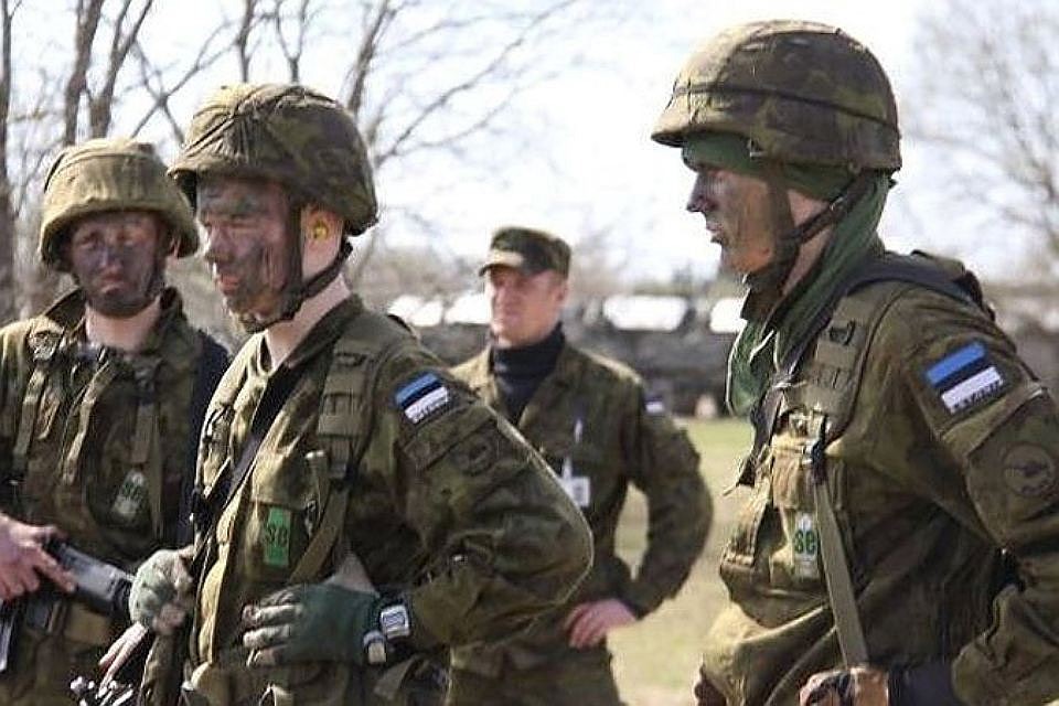 В программу базового обучения срочнослужащих армии Эстонии 40-часовой курс помощника полицейского. Фото: с сайта stena.ee