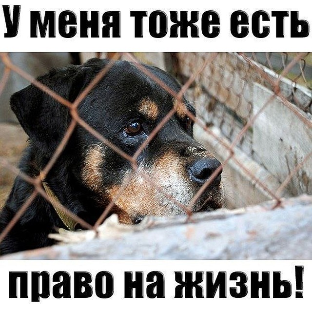 Фото из группы "ВКонтакте"