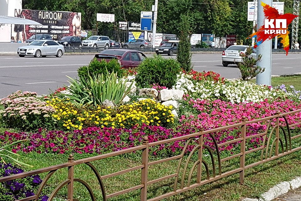 В следующем году изменится дизайн клумб.