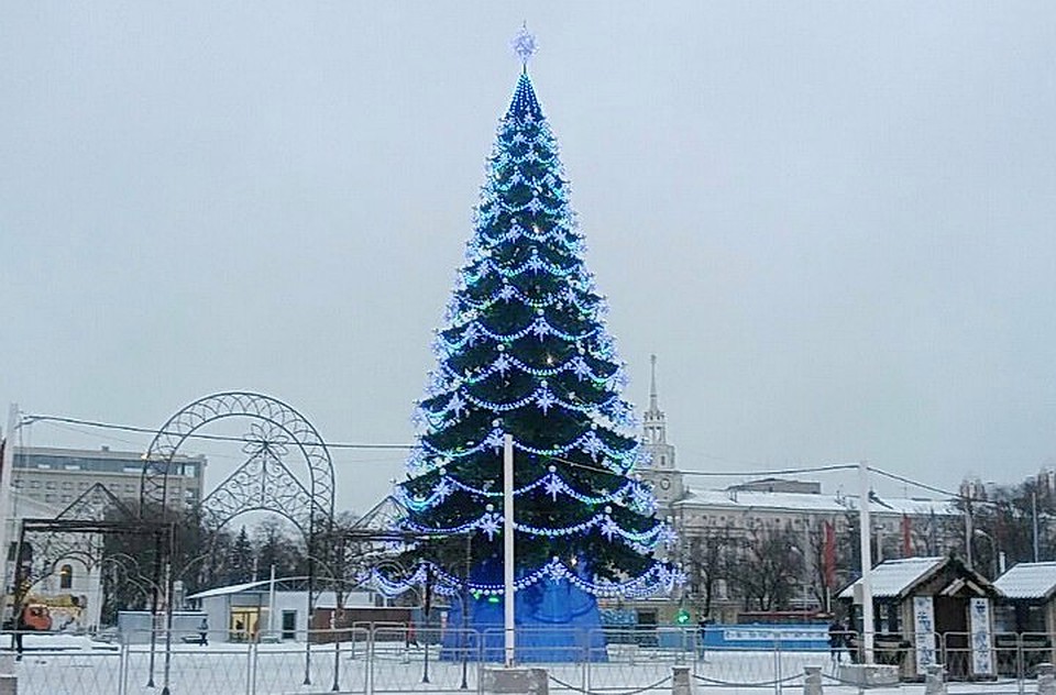 Сколько стоит эта елка, до сих пор никто не знает.