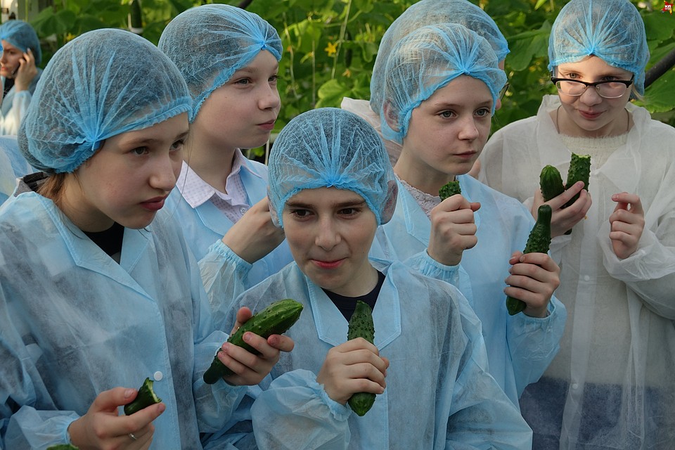 Школьники уплетали огурцы за обе щеки Фото: предоставлено организаторами