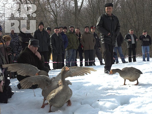Фото: Николай Михайлов.