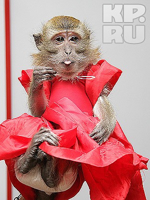 Фото: Валерий ЕВЕНКОВ.
