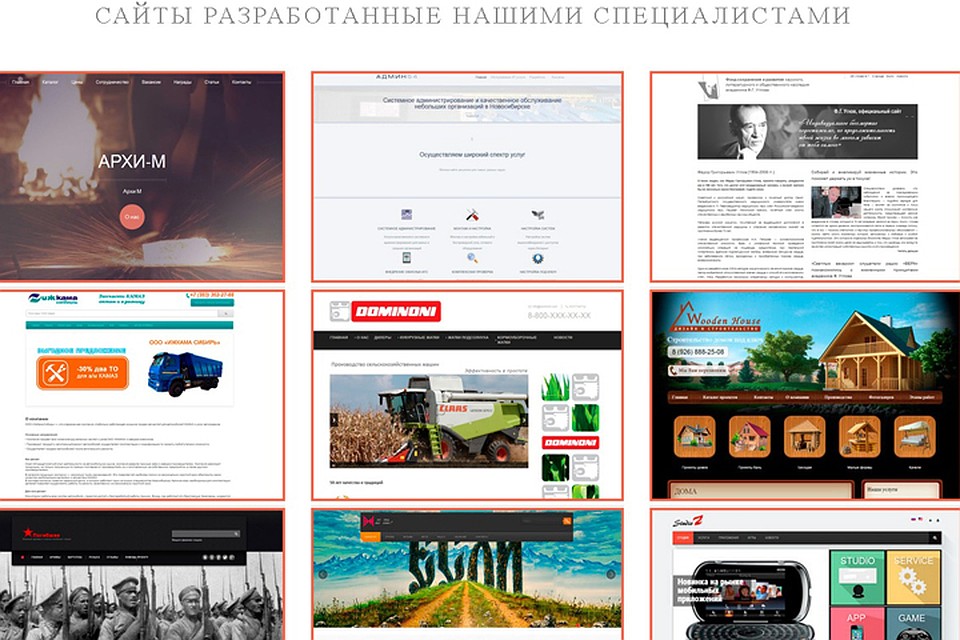 Это портфолио сибиряка. Сколько он за всю жизнь сделал сайтов, уже и не сосчитать. Фото: из личного архива героя(ев) публикации