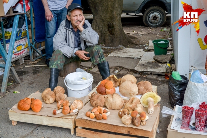 - Мало еще грибов, - утверждают грибники. Фото: Алиса СТАРОСТИНА