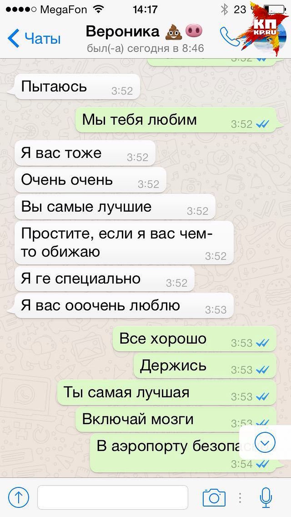 Эта ночь была самой кошмарной для семьи. Скрин представлен Еленой Эреванцевой