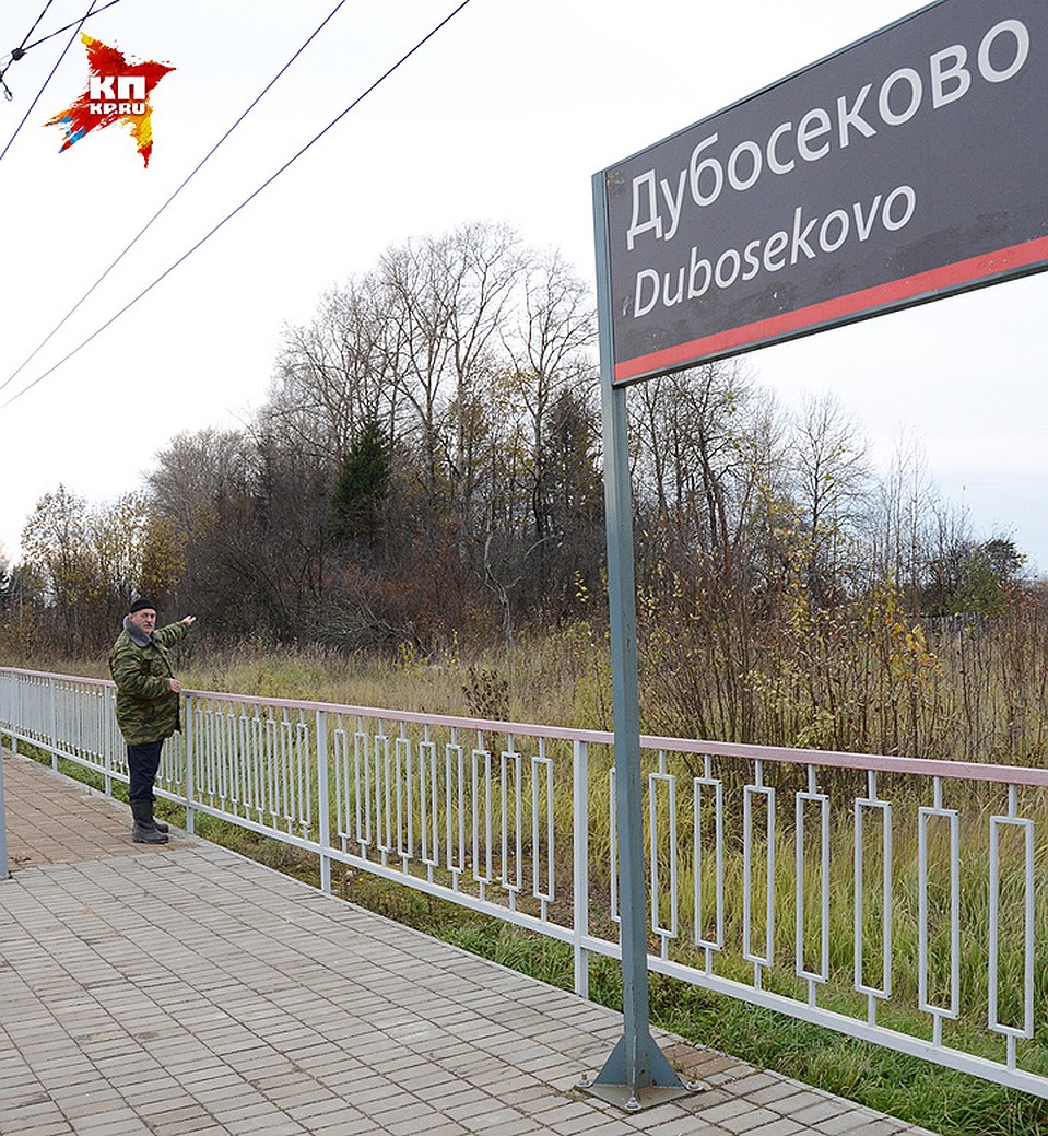 По мнению поисковиков и местных жителей именно тут был захоронен политрук Василий Клочков Фото: Александр БОЙКО