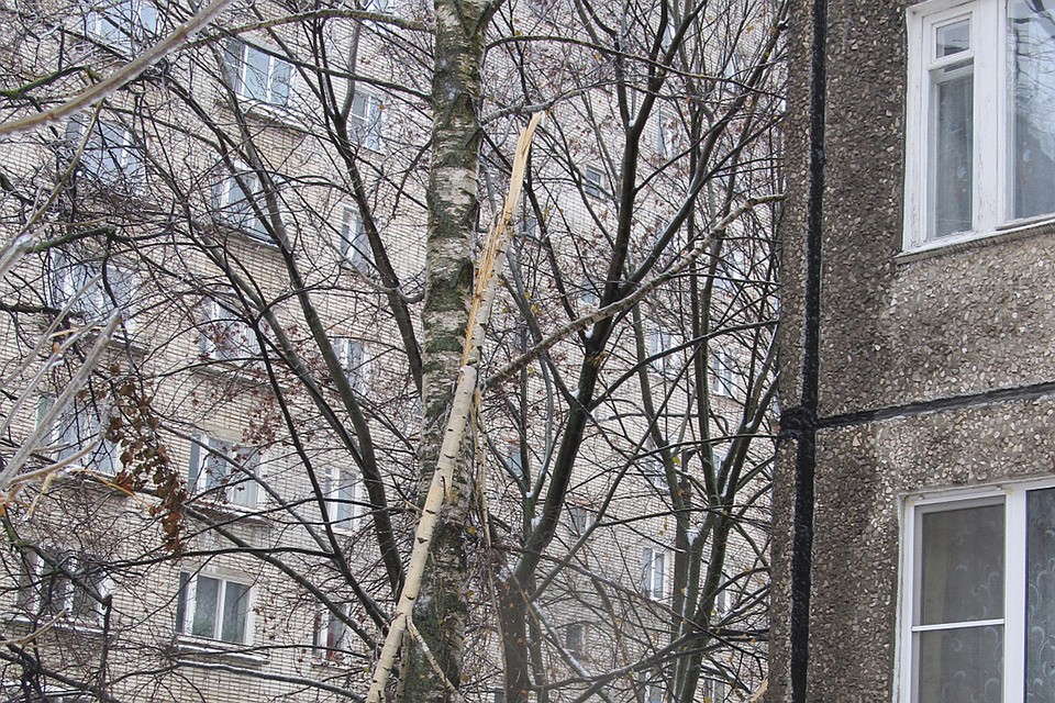 . Фото: Полина МОИСЕЕВА