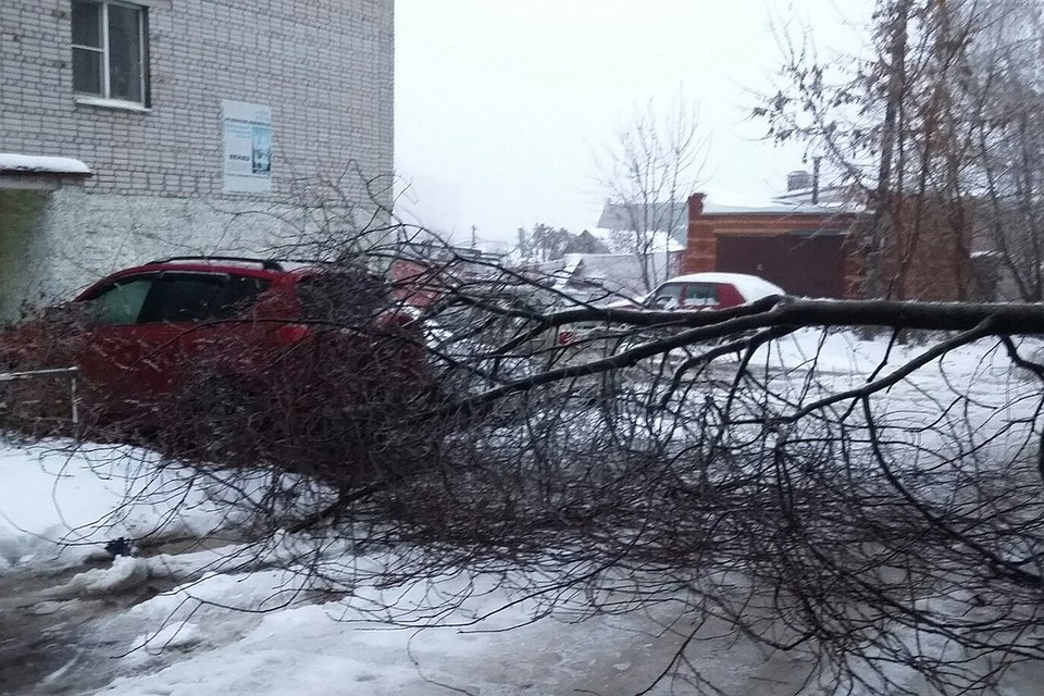 . Фото: Подслушано владимирских автомобилистов
