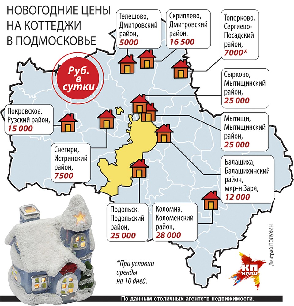 Новогодние цены на коттеджи в Подмосковье Фото: Дмитрий ПОЛУХИН