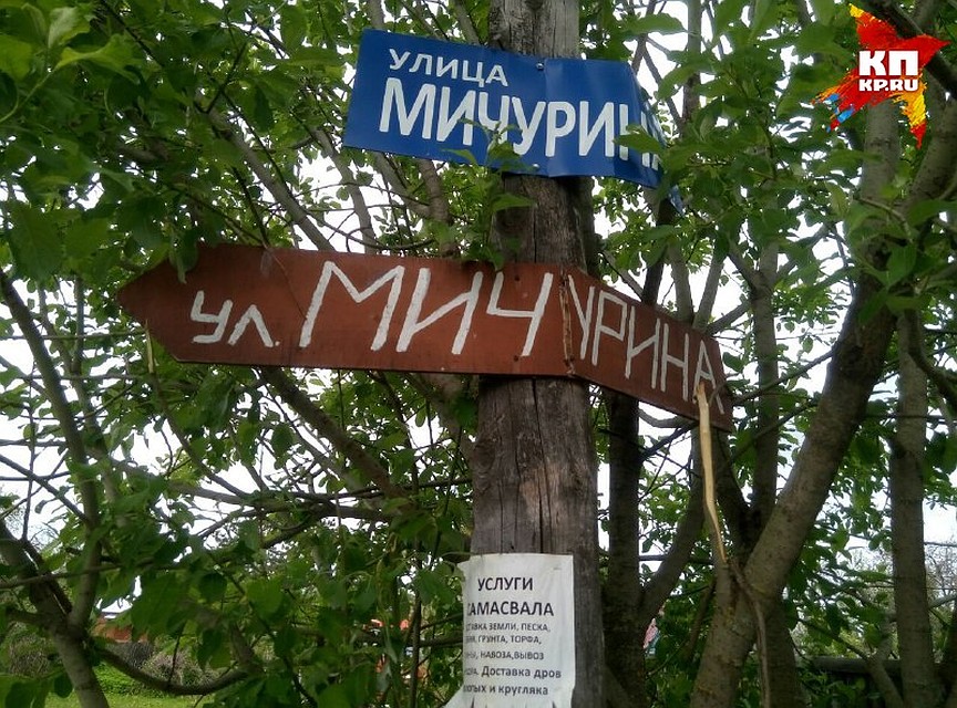 Убийство произошло на улице Мичурина. Фото: Игорь ДОКУЧАЕВ