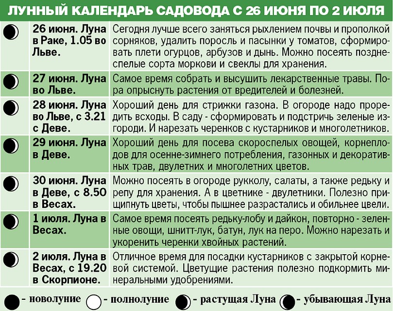 Лунный календарь садовода с 26 июня по 2 июля