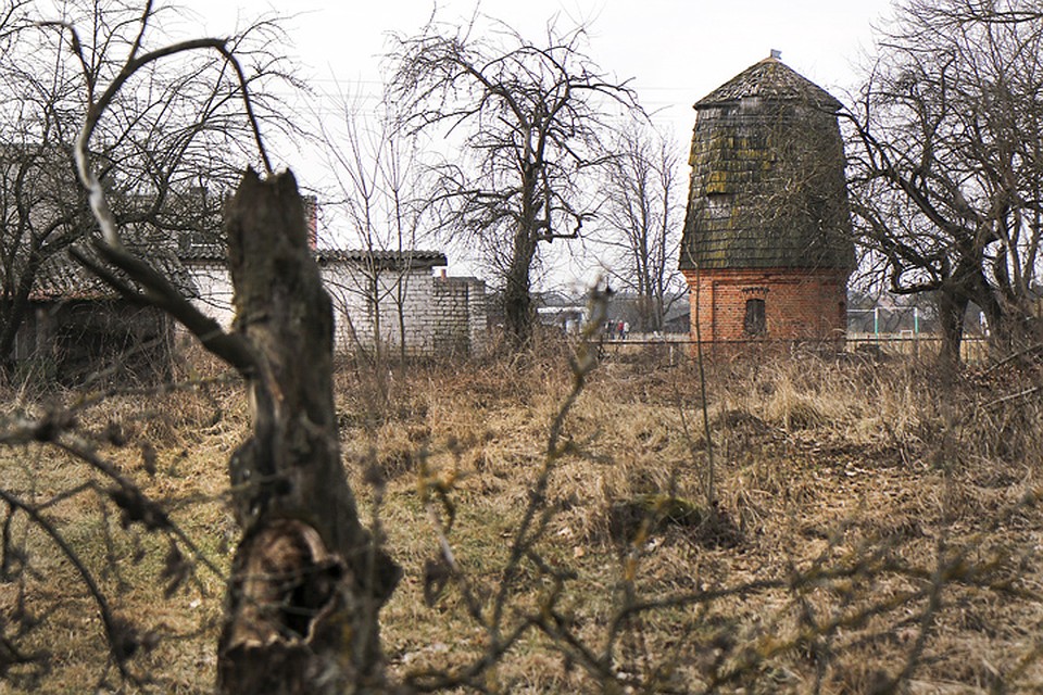 В XVIII веке усадьбу считали «образцом идеального хозяйства». Фото: Альфред МИКУС (предоставлено благотворительным фондом «Щорсы и Хрептовичи»)
