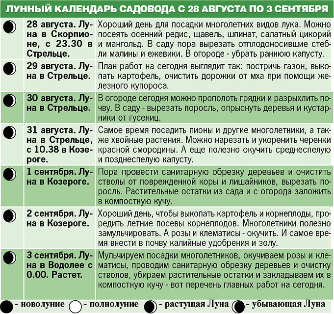 Лунный календарь садовода с 28 августа по 3 сентября