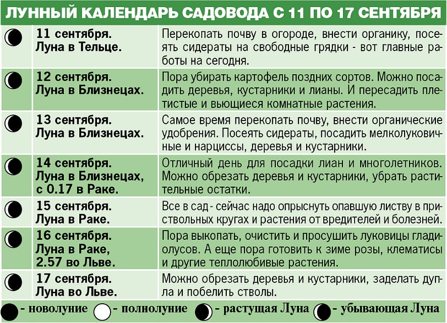 Лунный календарь садовода с 11 по 17 сентября