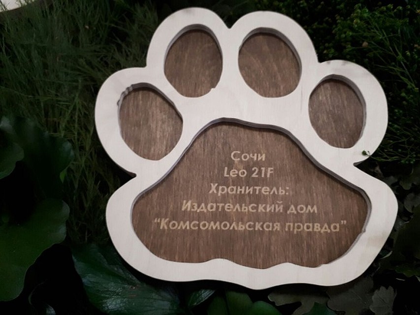 Фото Екатерины Измаловской. На "Земле леопарда" свой след оставила и "Комсомолка".