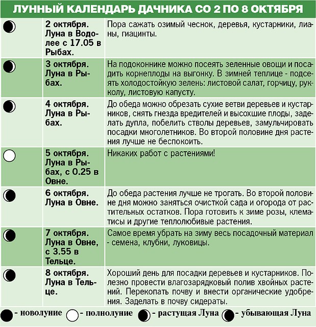 Лунный календарь дачника со 2 по 8 октября