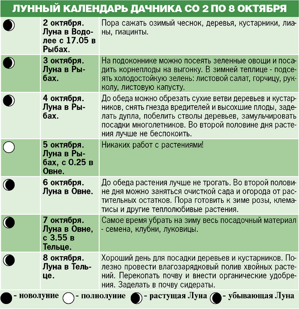 Лунный календарь дачника со 2 по 8 октября