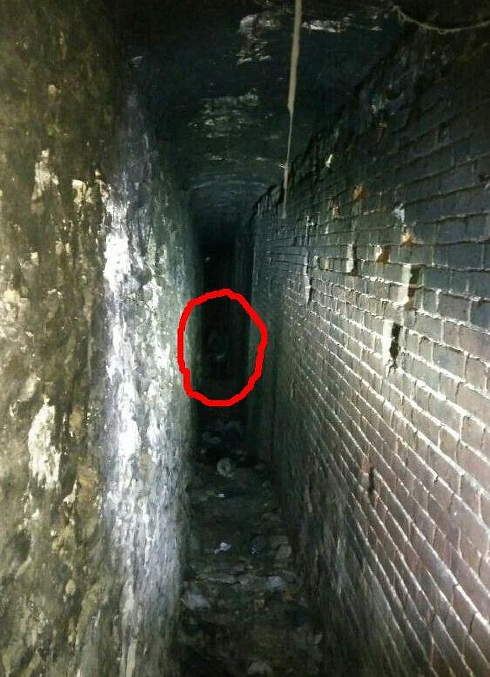 "Человек" неожиданно возник в другом конце коридора. Фото Александра Сушкова из группы ВК "Парк-музей "ПАРАМОНЫ". Ростов."