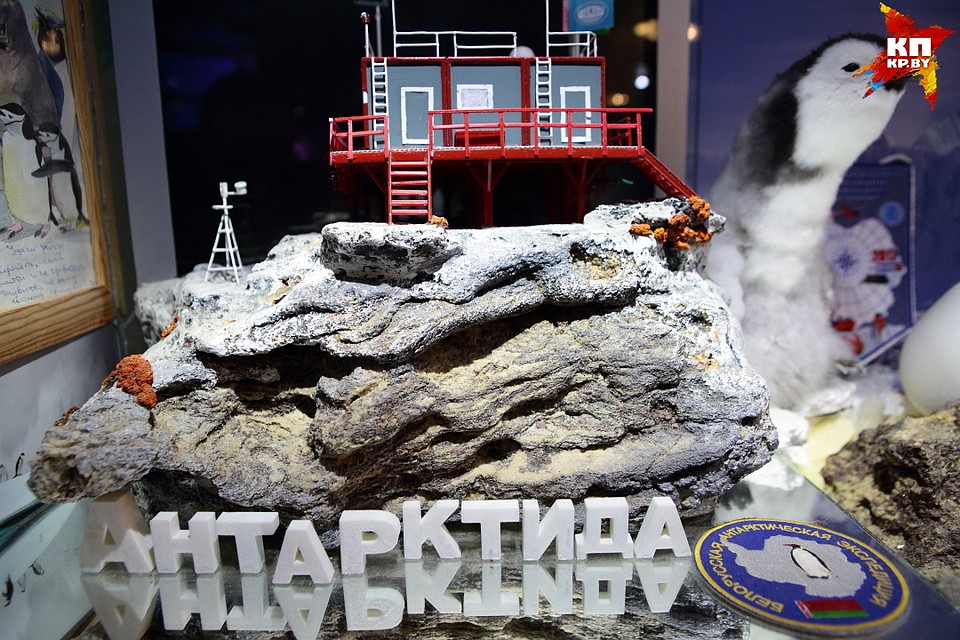 Полярная коллекция еще будет пополняться Фото: Святослав ЗОРКИЙ