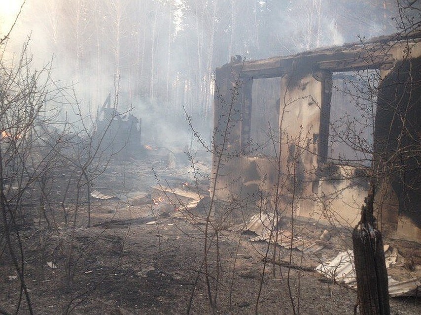 Под Кыштымом огонь уничтожил садовые домики. Фото: группа«Я ОЧЕВИДЕЦ!!! г. Кыштым»/vk.com