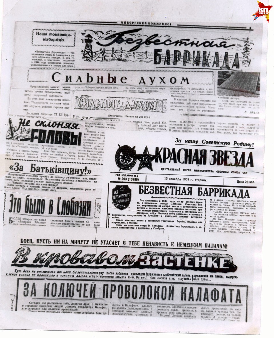 Выдержки из газет Фото: Личный архив