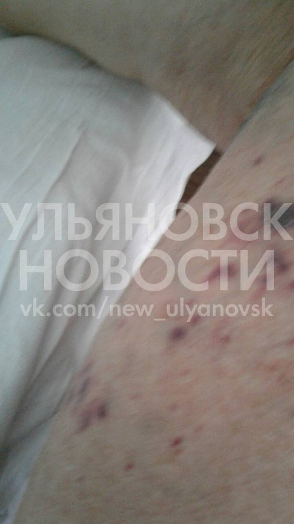 Фото: vk.com.