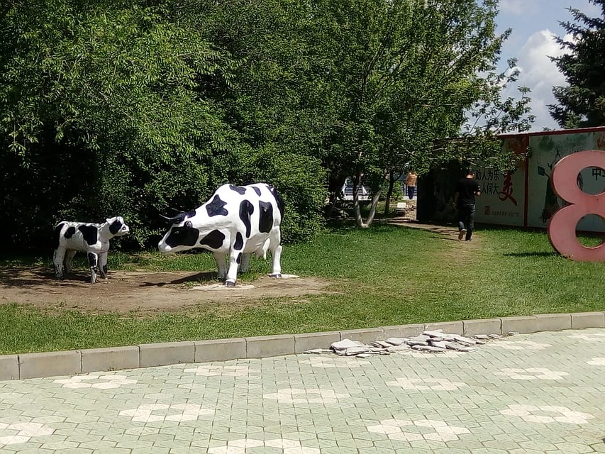 Скульптуры на газонах в Хэйхэ. Фото: Людмила СУДЕЙКИНА