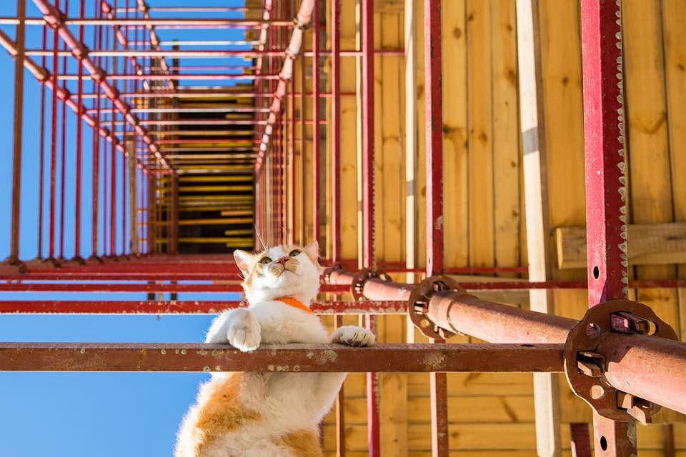 В короткие минуты перерыва можно полной грудью подышать свежим морским воздухом. Фото: Кот Моста/FB