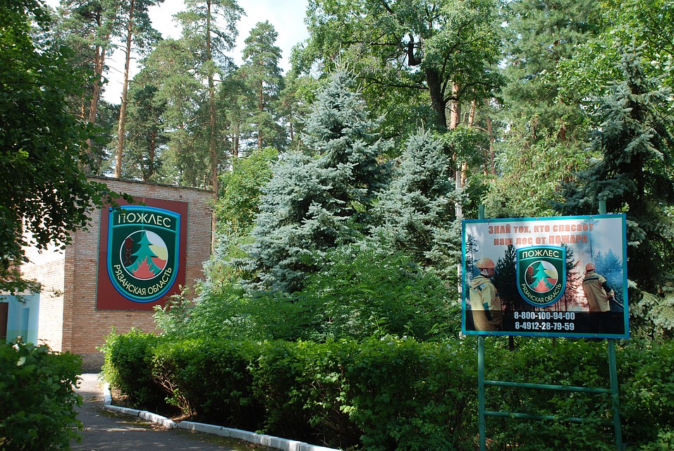Головное здание "Пожлеса" расположилось в солотчинских лесах. Фото: Анастасия КУДРЯШОВА