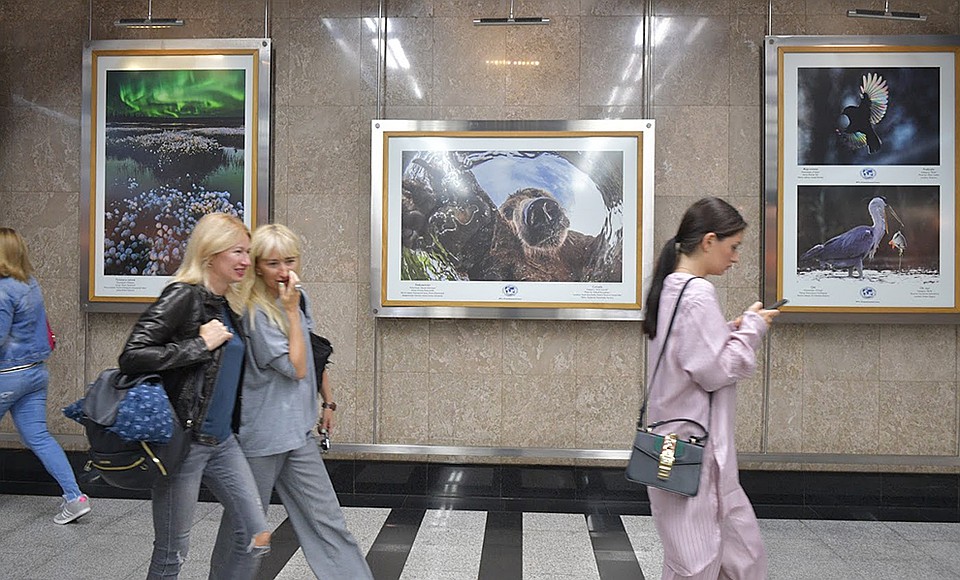 В 2018 году на конкурс поступило около 47 тысяч работ от 8 тысяч фотографов из России и других стран мира Фото: Михаил ФРОЛОВ