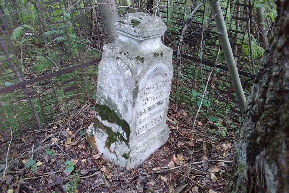 В Нижнем Новгороде найдена могила известного писателя Серебряного века Марка Криницкого. Фото: Вера Хорошилова