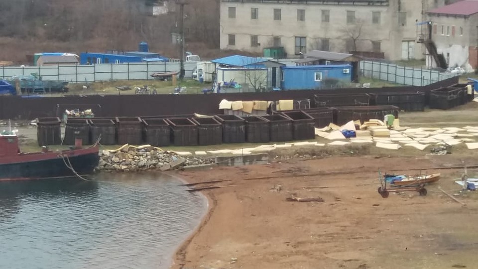 На базе находятся отдельные водохранилища для морских млекопитающих. Фото: Нина Зырянова