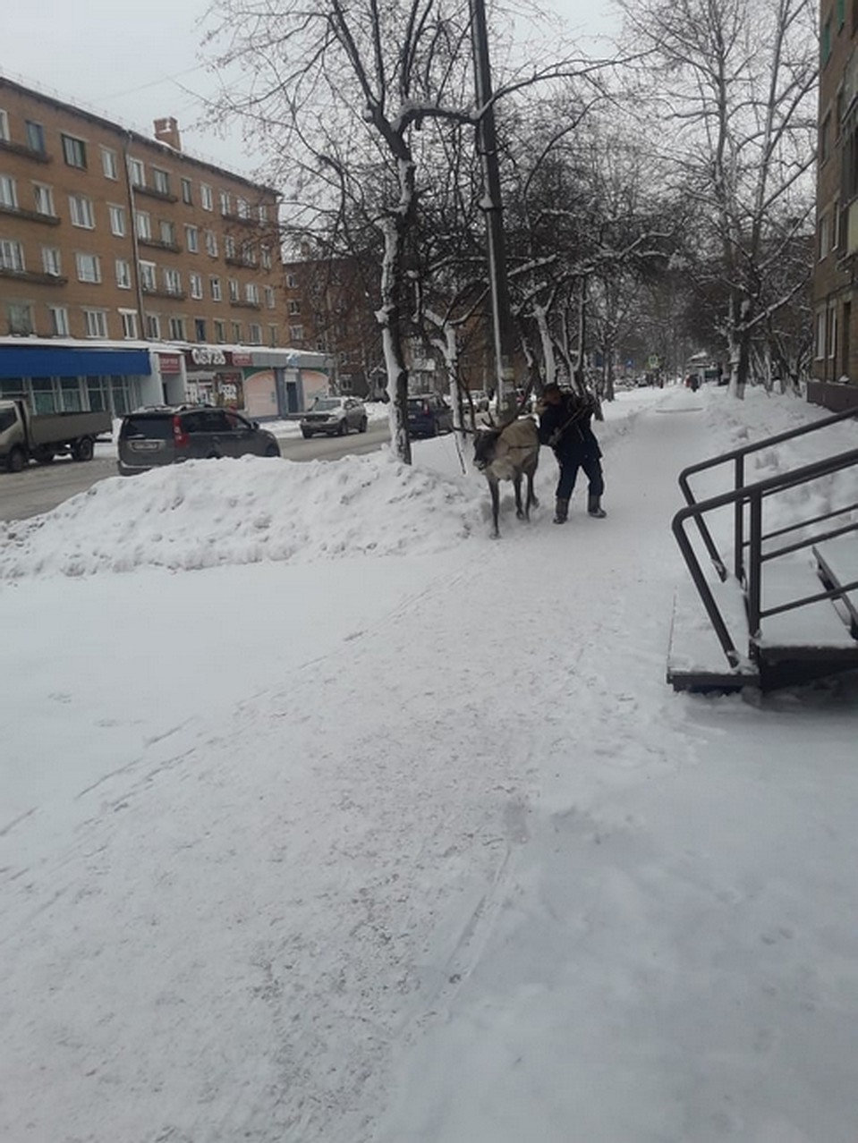 Гуляли вместе, но что-то пошло не так
