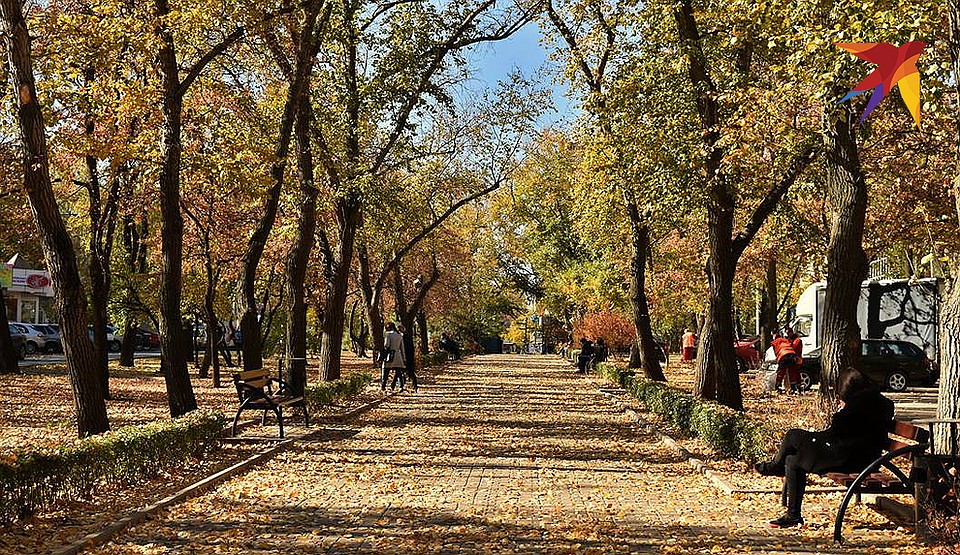 Осень в донецком парке. ФОТО Евгении КАРПАЧЕВОЙ