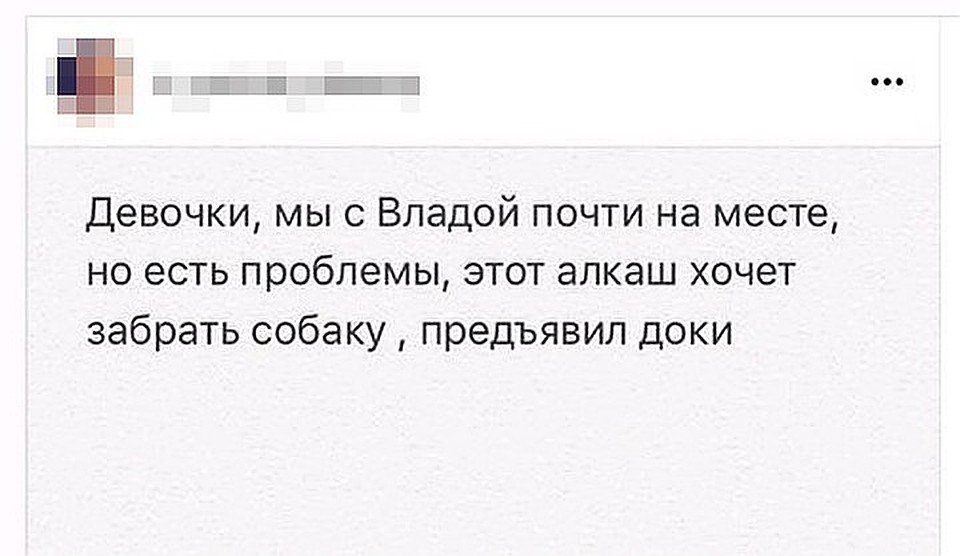 Андрей и Марина стояли под подъездом соседки и ждали, когда им вернут собаку. А в этот же момент зоозащитница Алина К. писала: "Девочки, есть проблемы, этот алкаш предъявил доки..."
