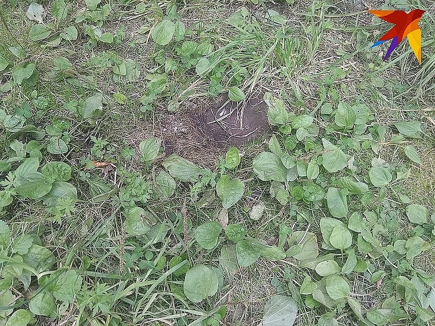 Школьники до смерти избили молодого человека Фото: Елена БЛАГИНИНА