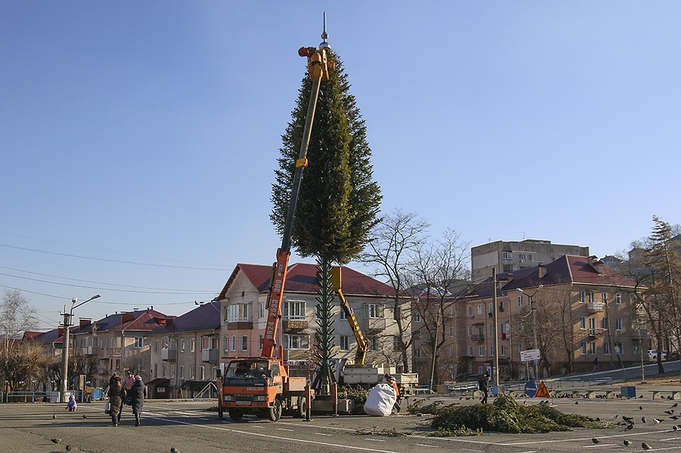 В Находке елка теперь стоит в новом месте. Фото: пресс-служба администрации Находки