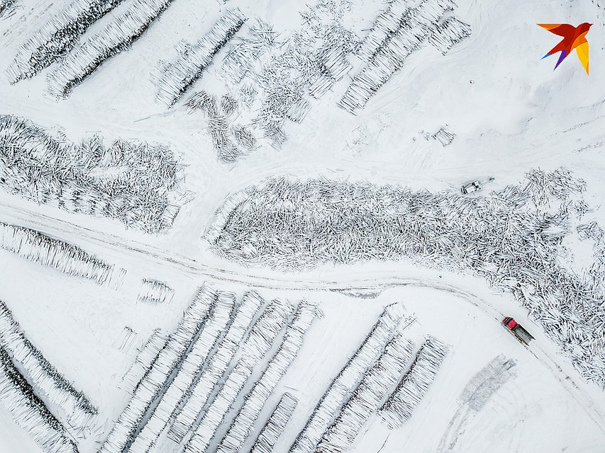 Завод Краслесинвест Фото: Виктор ГУСЕЙНОВ