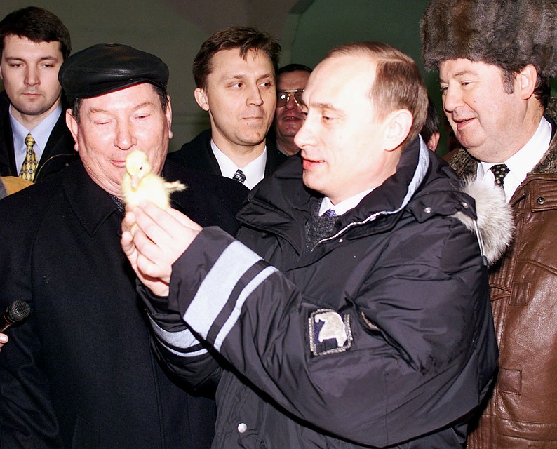 Утенок на Кубани жалуется Путину на трудности утиной жизни. Фото: ТАСС