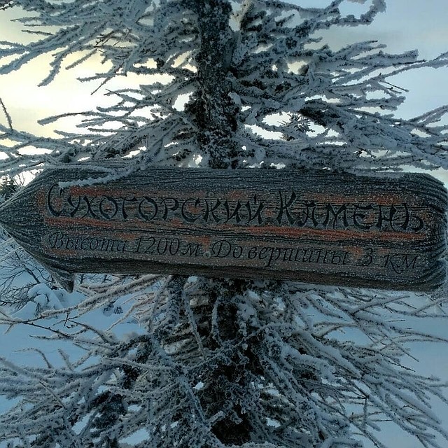 Последняя запись Елены Подкорытовой в соцсетях - фотография с Сухоложского камня. Фото: соцсети