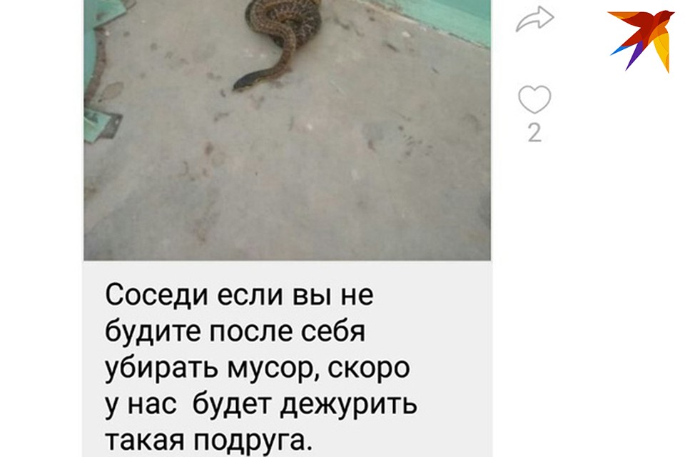 Таким экстравагантным способом женщина решила отучить соседей мусорить в подъезде. Фото: социальные сети.