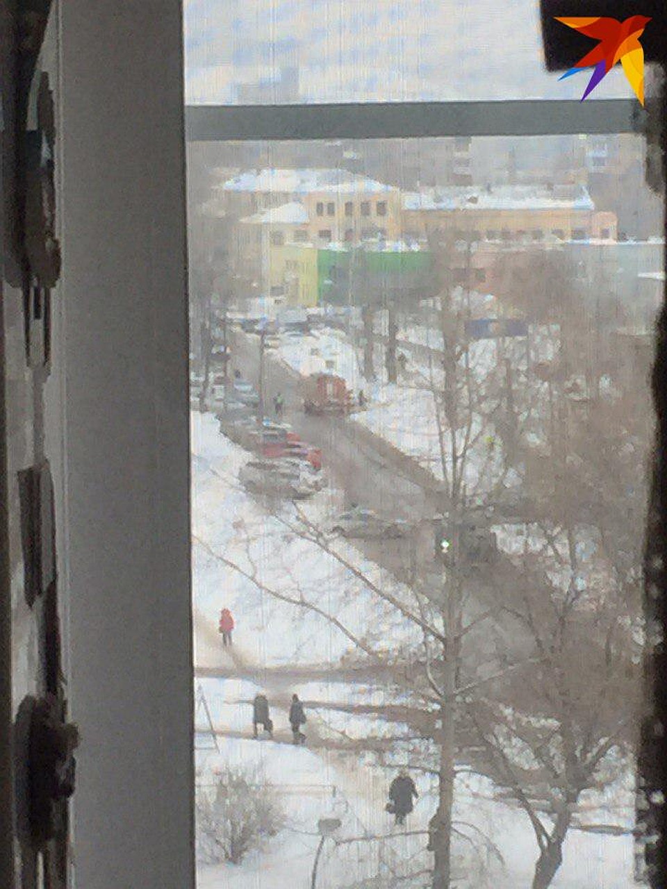 Фото сделано в момент стрельбы у школы. Прислано читателями "Комсомольской правды"