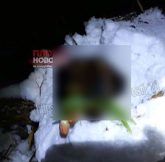 Вот такой снимок выложила женщина в соцсетях