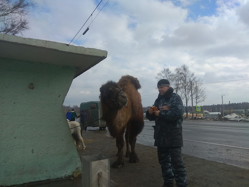 Фото: Алексей Александров