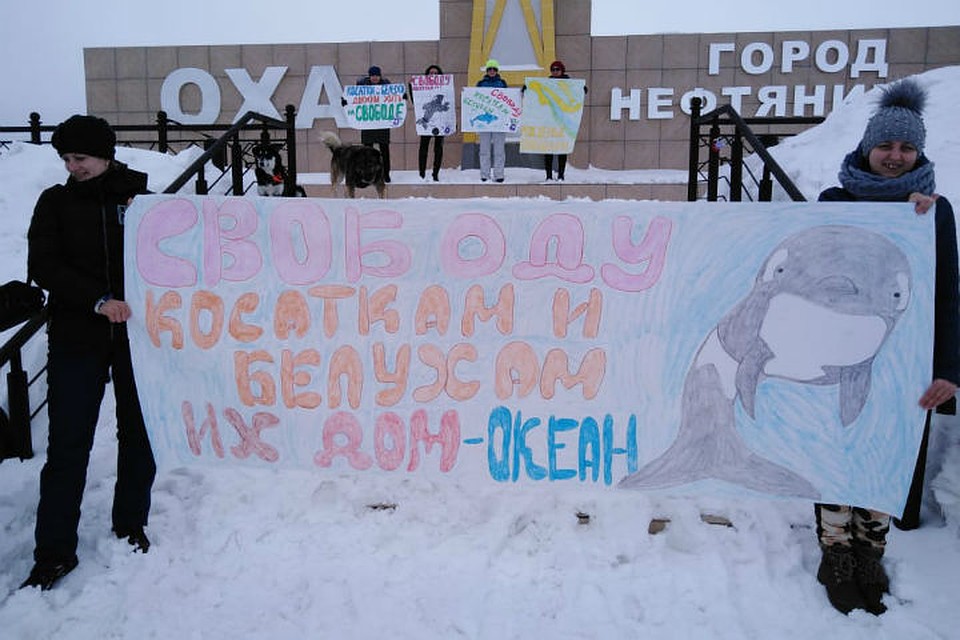 В вольерах с ужасными условиями содержится почти сотня белух и косаток. ФОТО: «Эковахта» Сахалина.