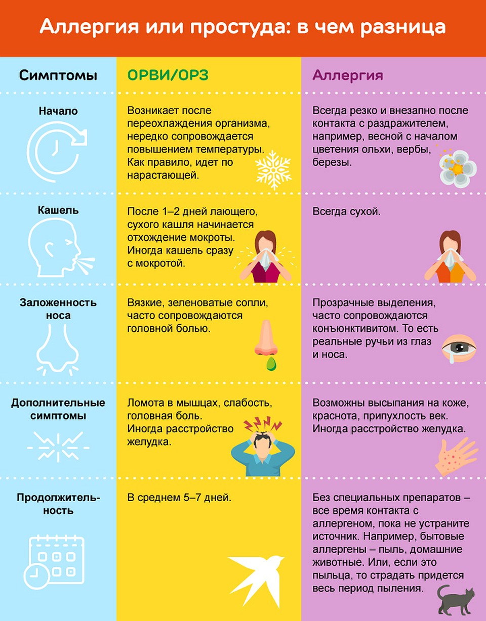 Аллергия или простуда: в чем разница Фото: Рушан КАЮМОВ