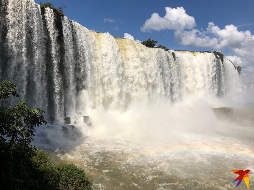 Водопады в Национальном парке Игуасу Фото: Алексей КОСЕНЧУК