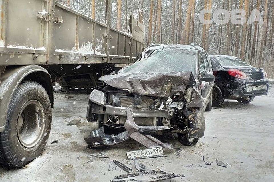 Фото: служба спасения СОВА